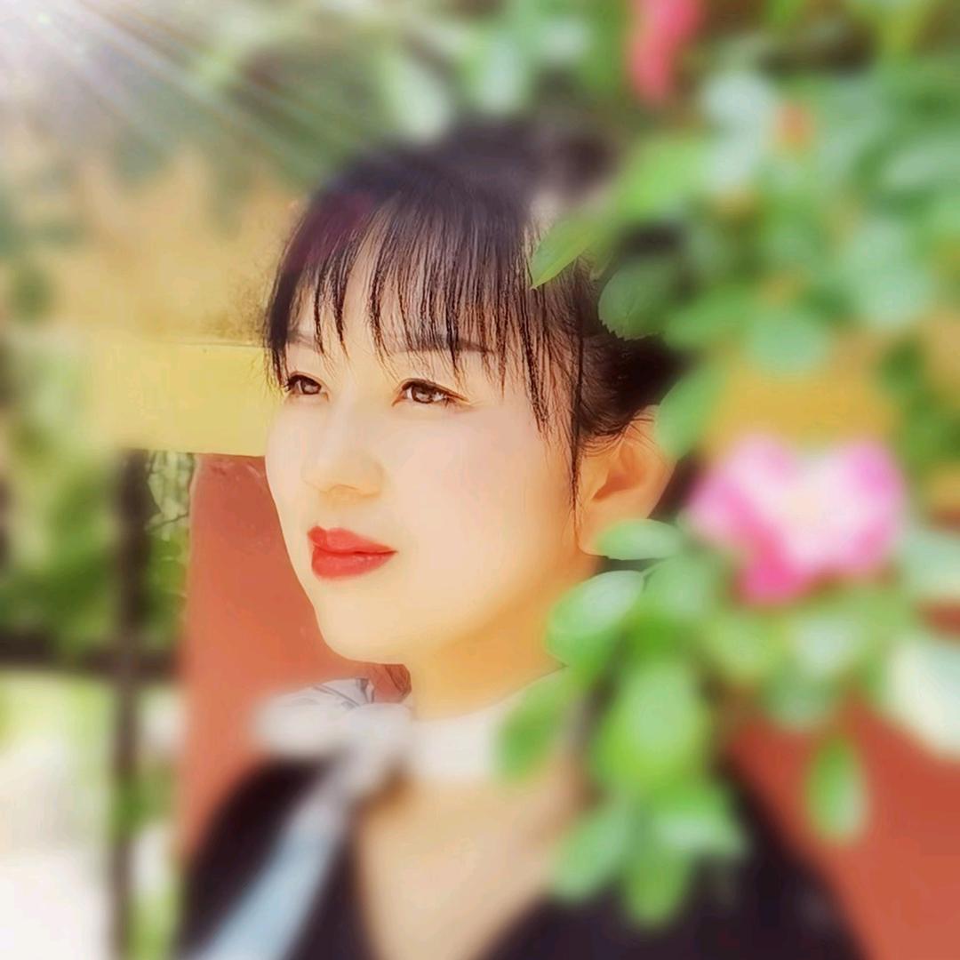 荣昌蝴蝶兰🦋