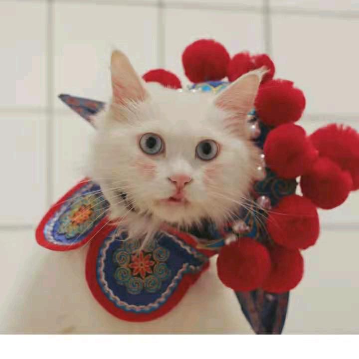 孙大姐