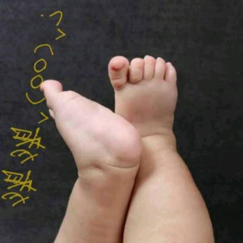 猪猪^(oo)^