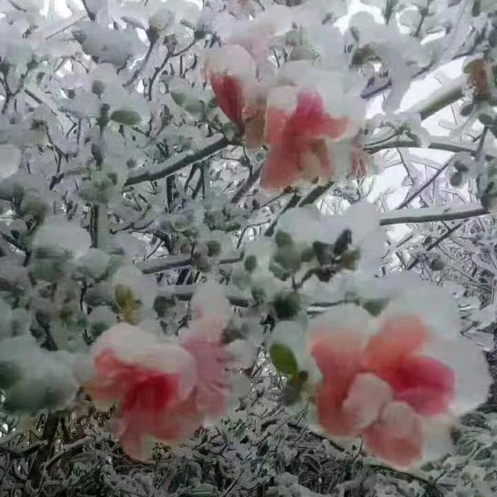 你不爱请别伤害