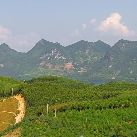 随心所欲
