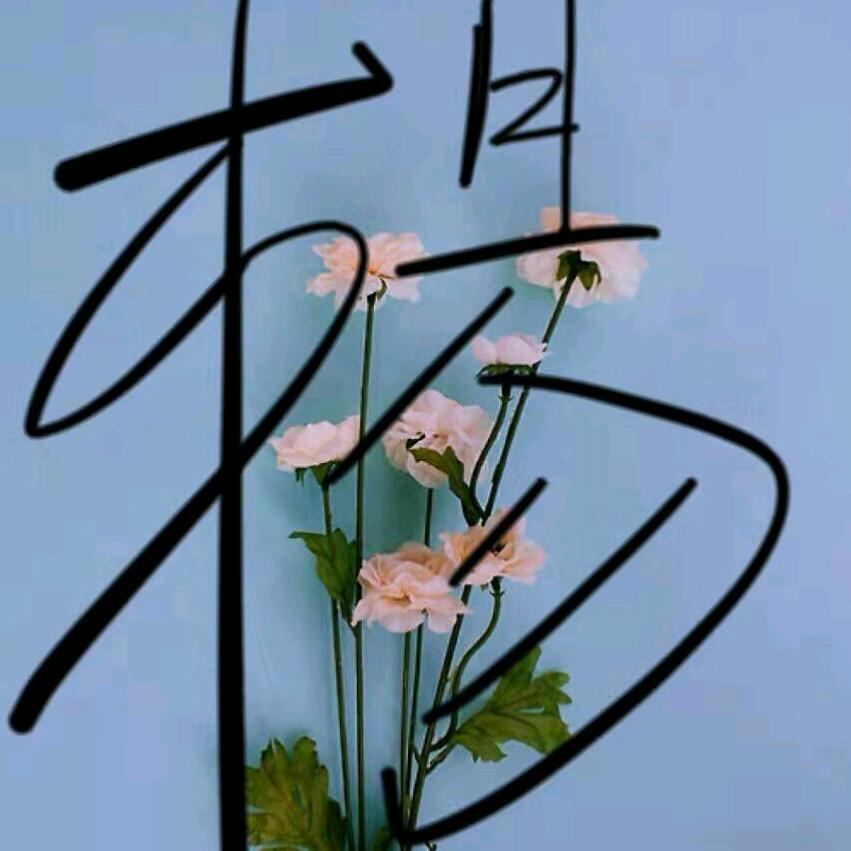 🥀᭄吉祥三宝꧔ꦿᩚ💕