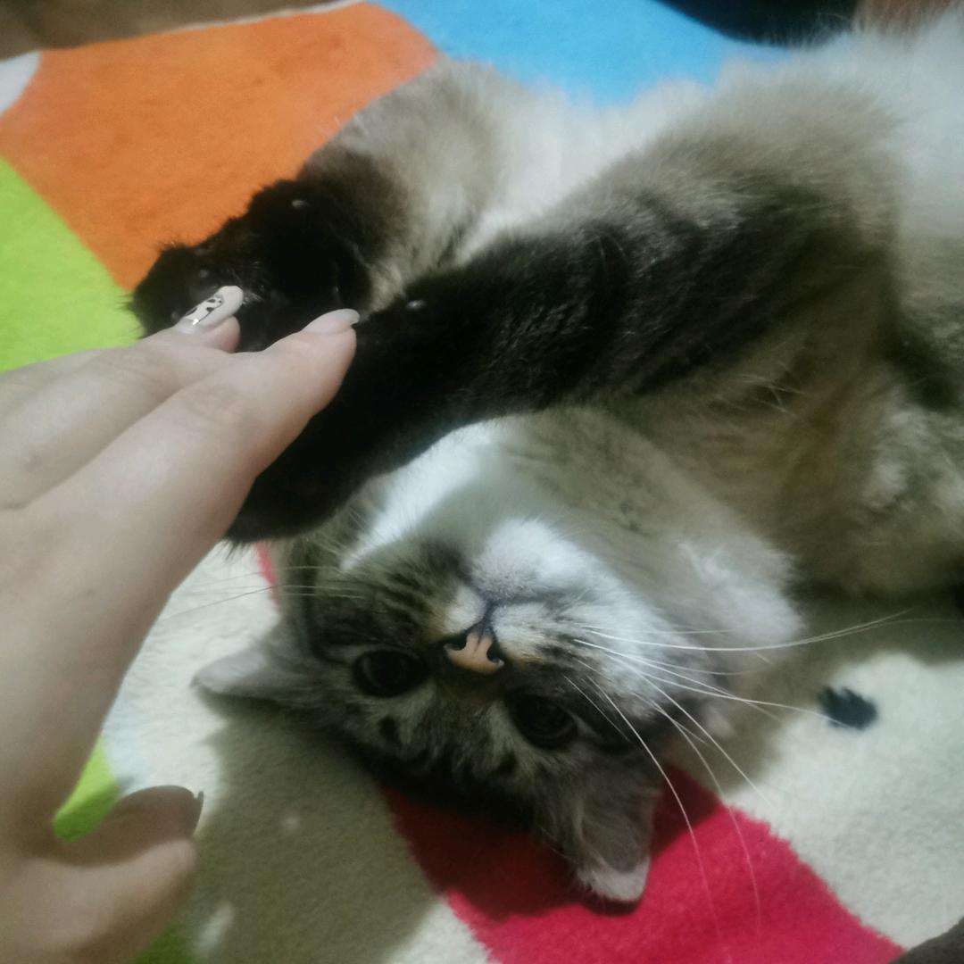 你的对象