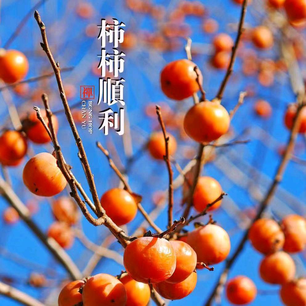 小镇炒家-穿越牛熊