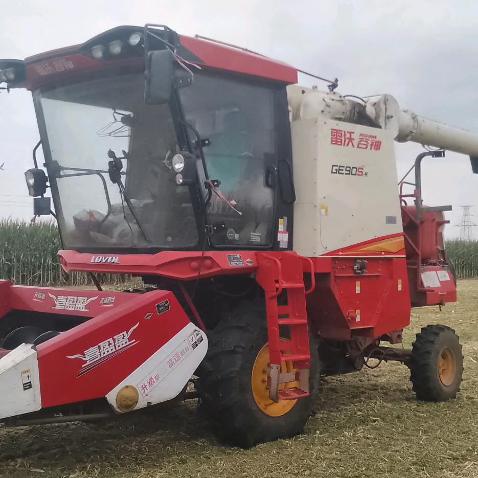 有些油味的青春