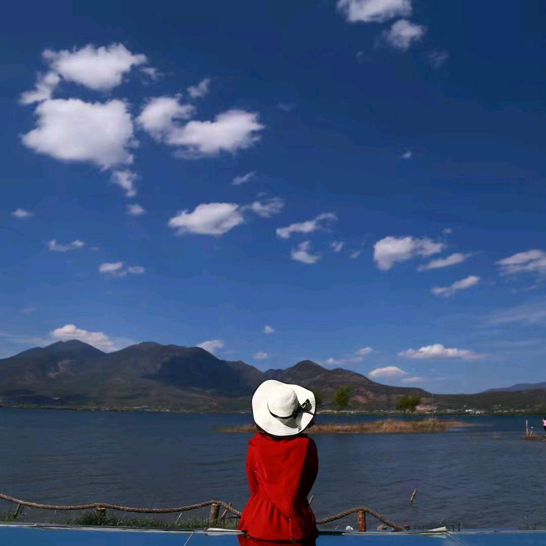 鸿歌