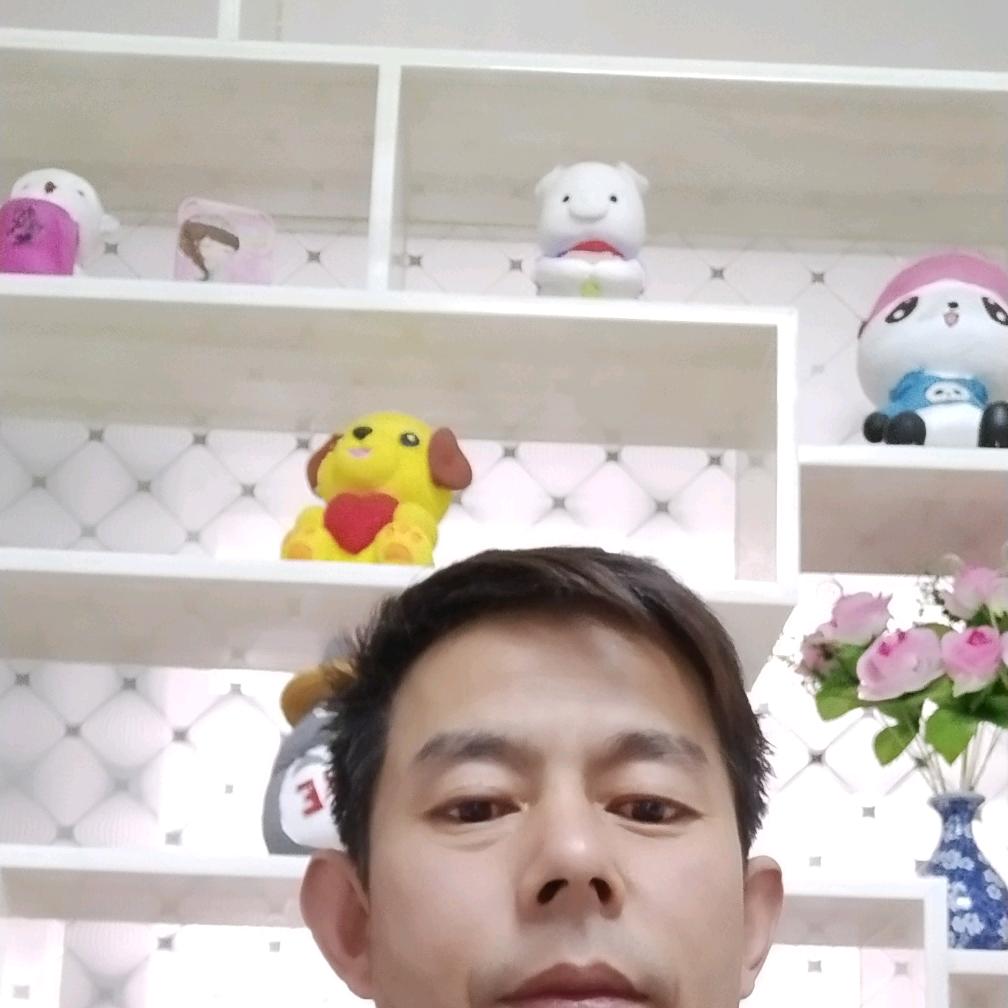 大漠苍鹰