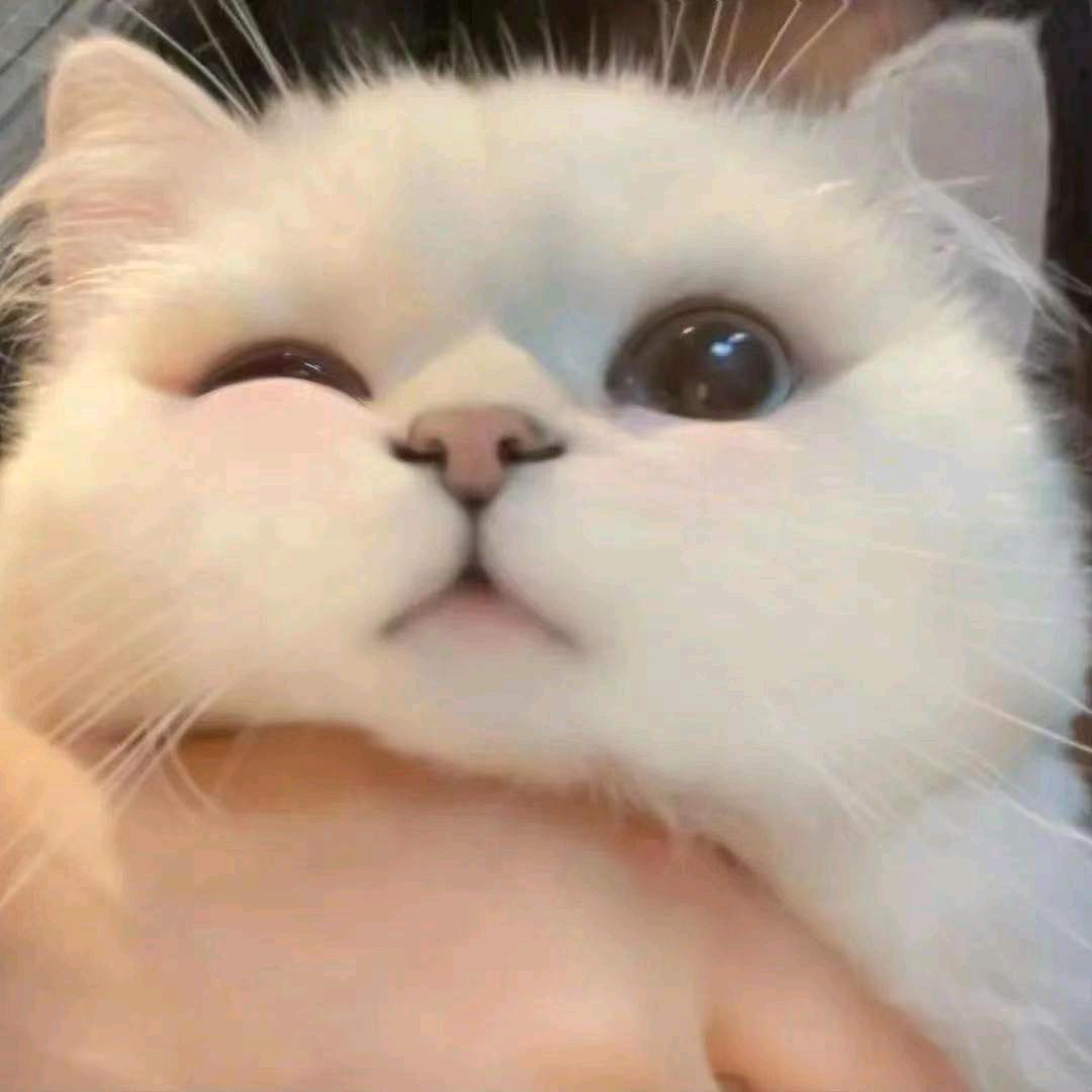 夜风很咸
