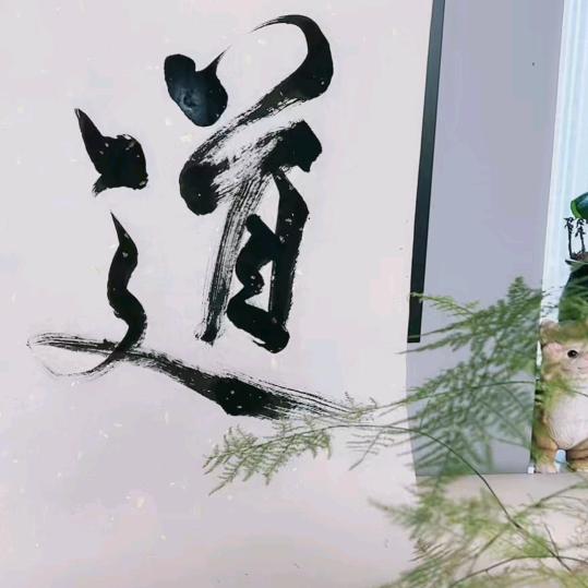 静修禅拍