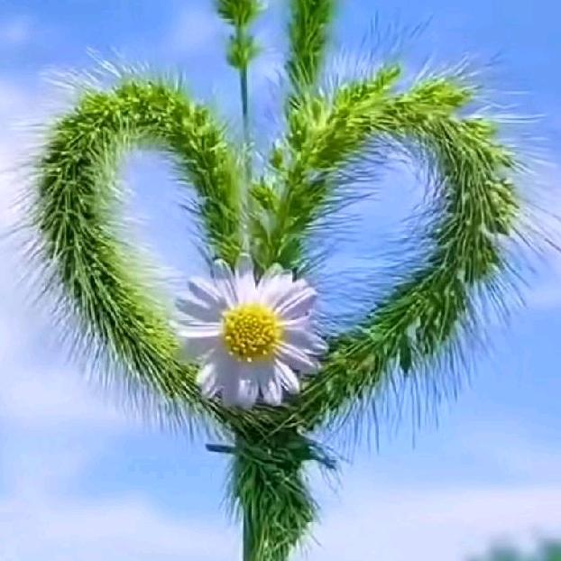 依依的优选小店