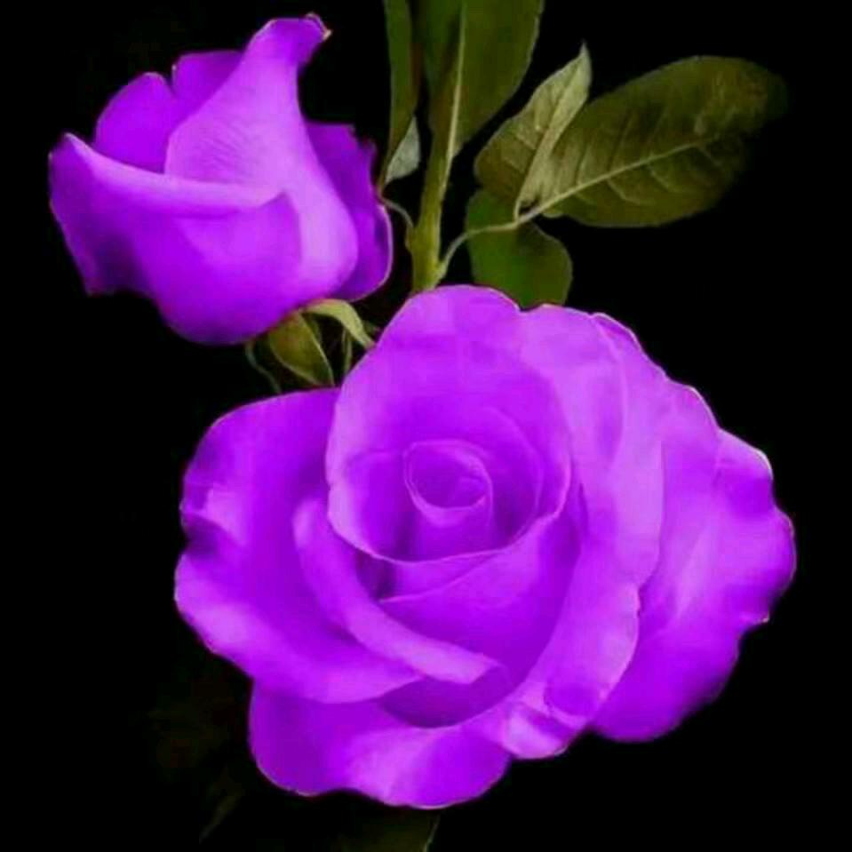 🌹阳光🌹育婴师🌹