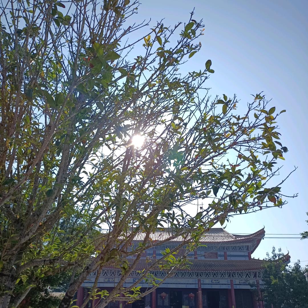 专注室内装饰设计