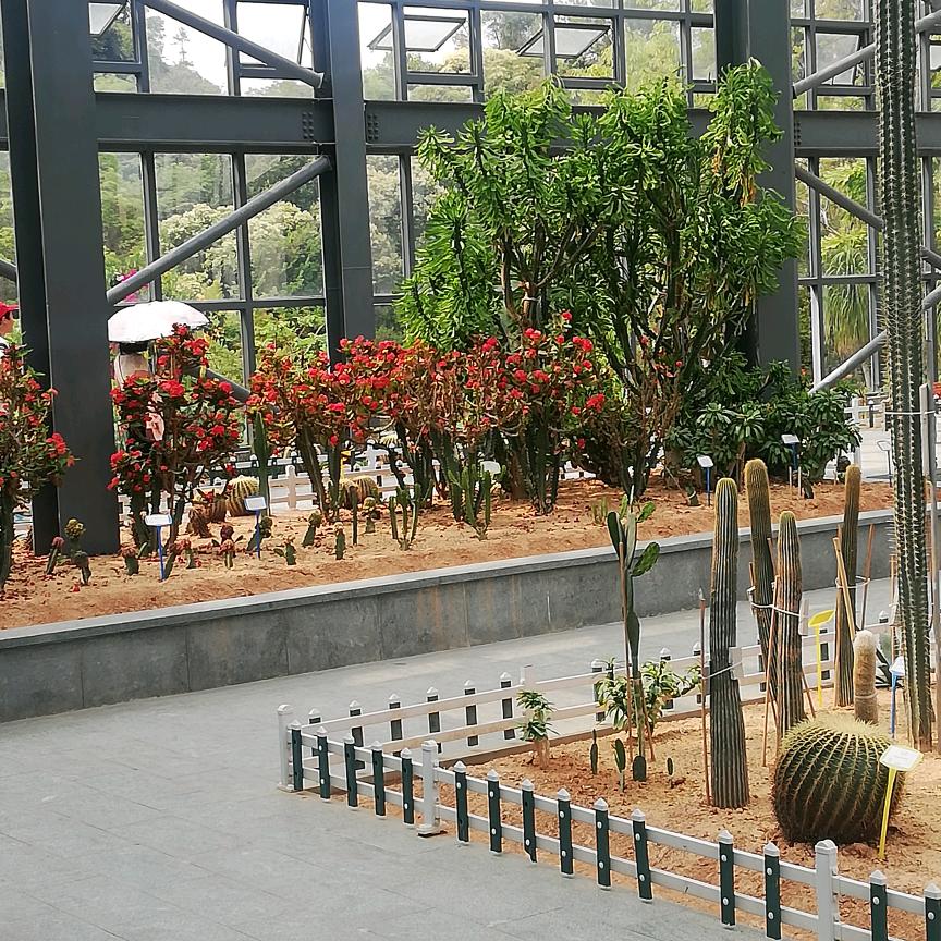 忘不了＿19：00看云阳大舞台