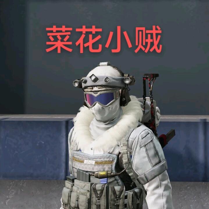 菜花小贼（三角洲行动）
