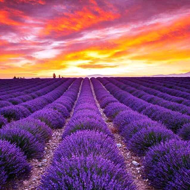 速达物流（回族）安徽专线