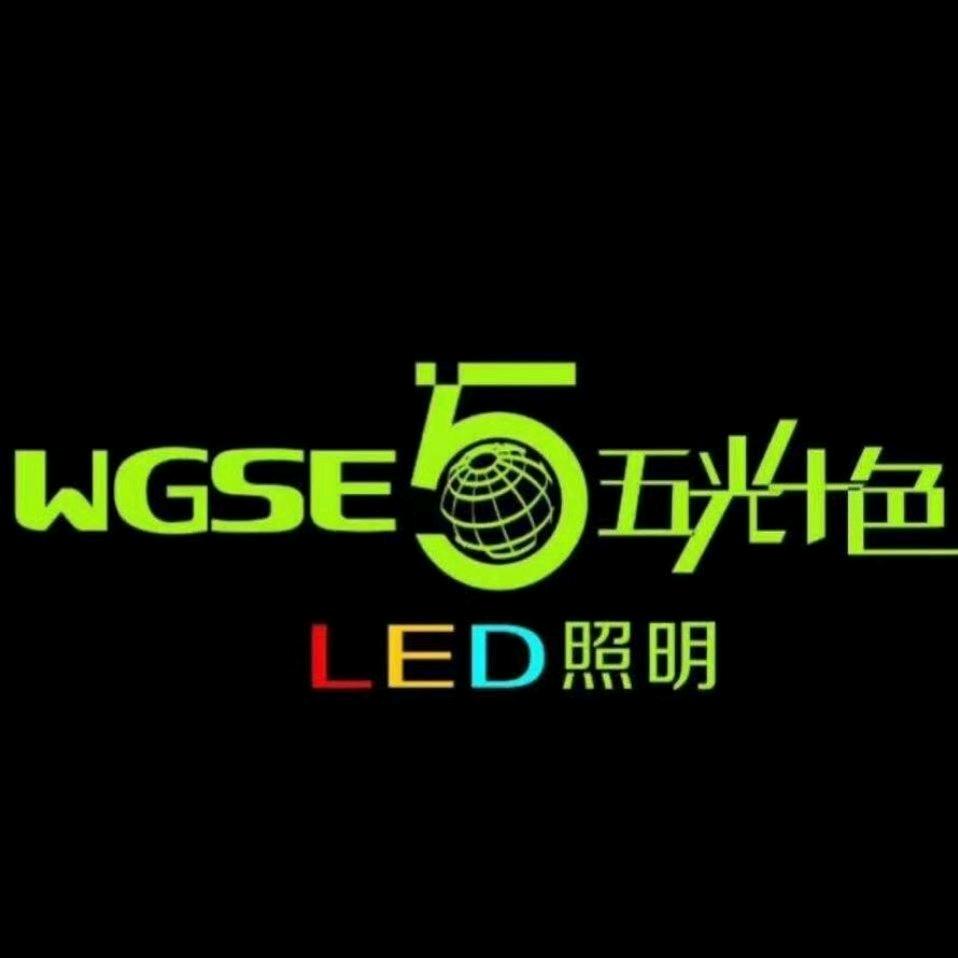 五光十色照明博兴店