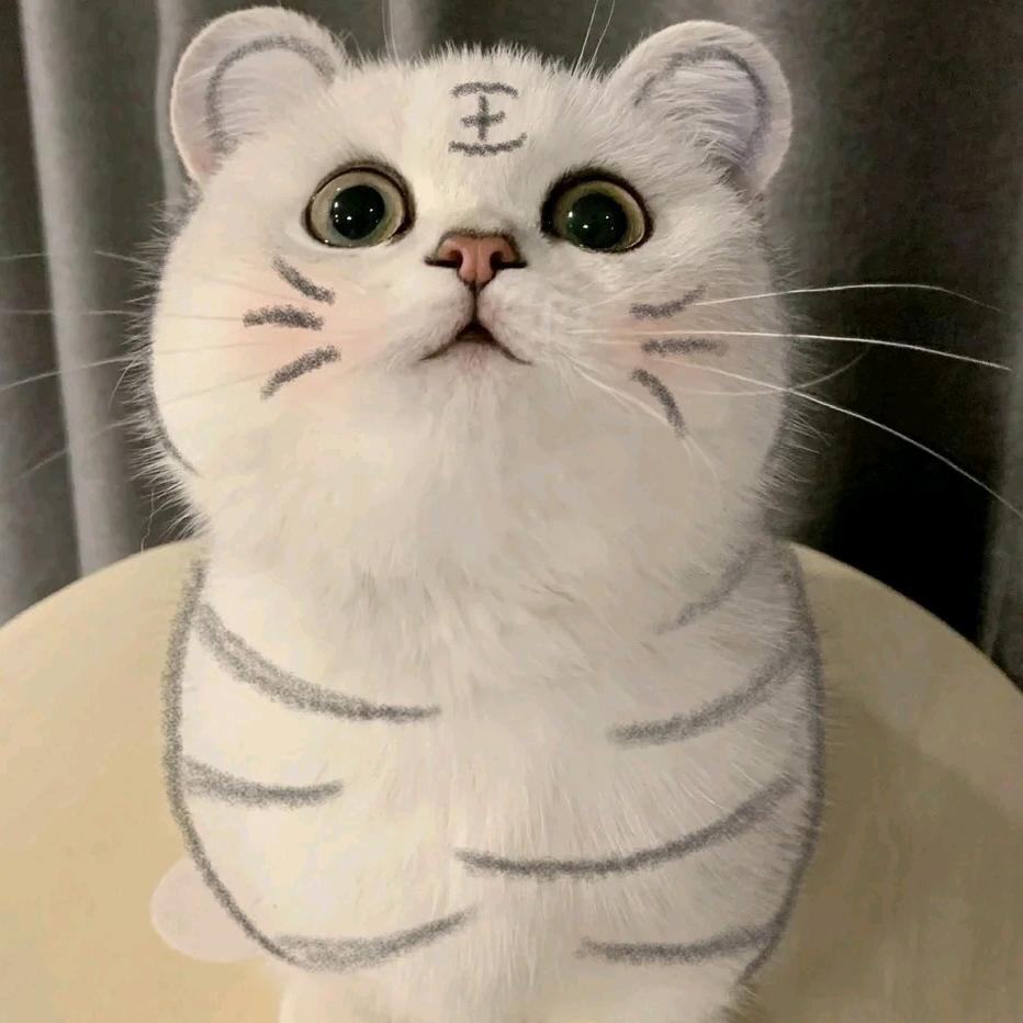 ～