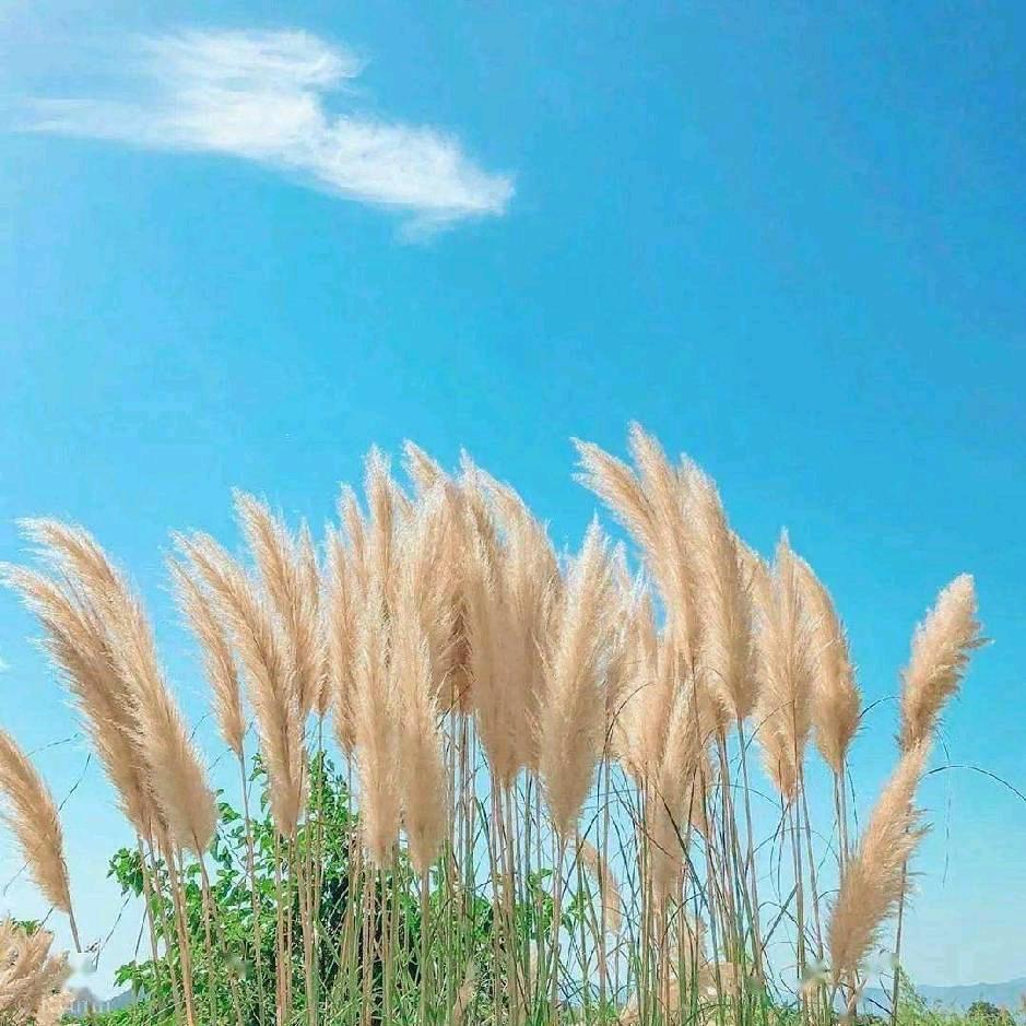 80后宝妈