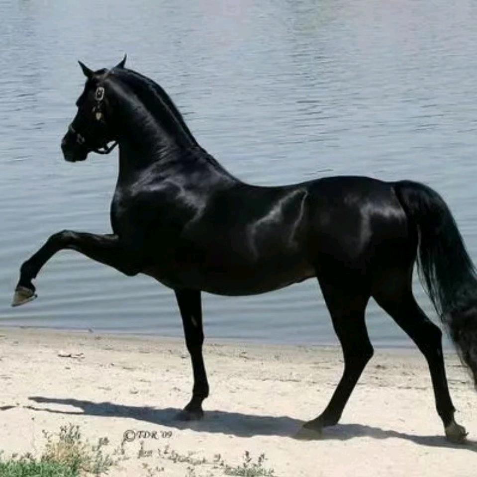彩虹