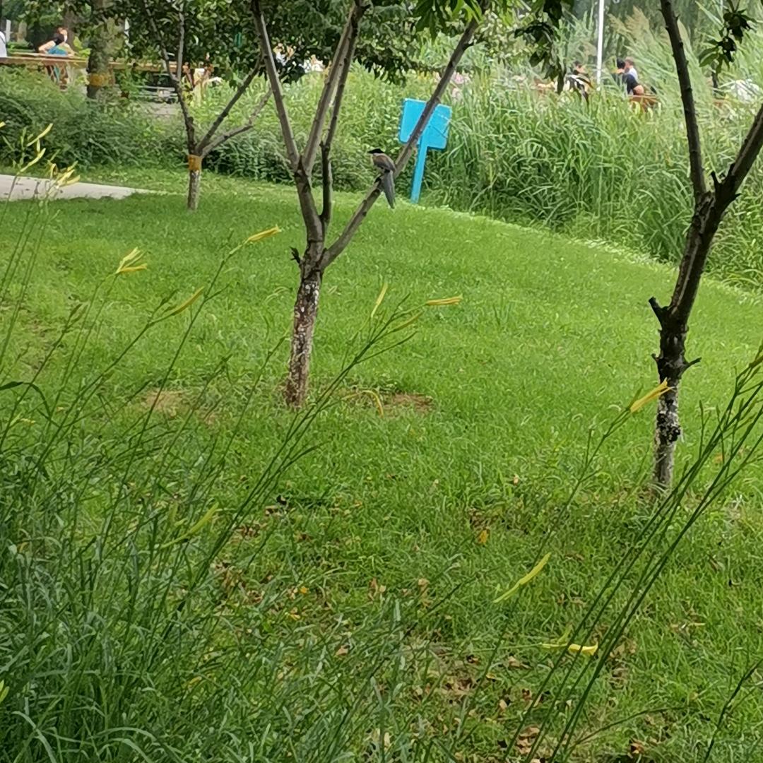 顺水流年