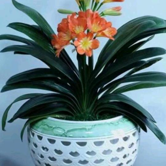 现实的社会赐了我一刀