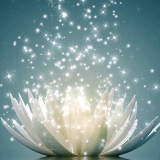 慈航普渡《等待带圈的有缘人》