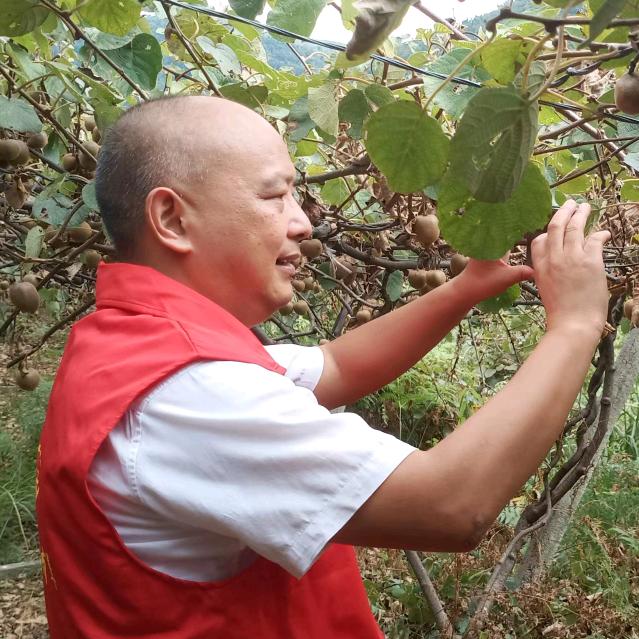 黑杨村长