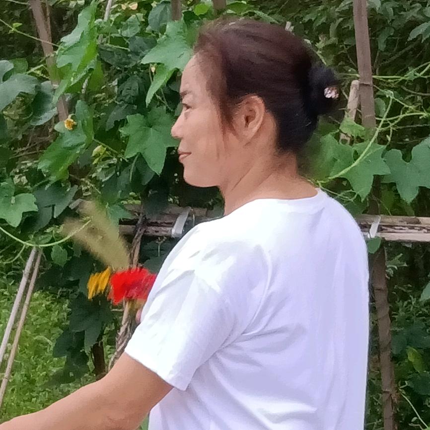 回不到过去