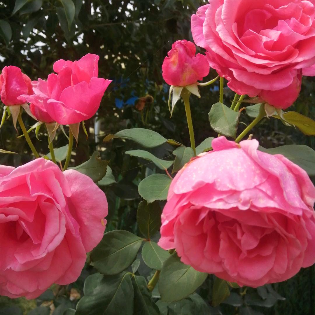 ╭❤～诗与远方╭❤～