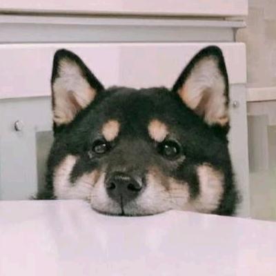 鱼仙