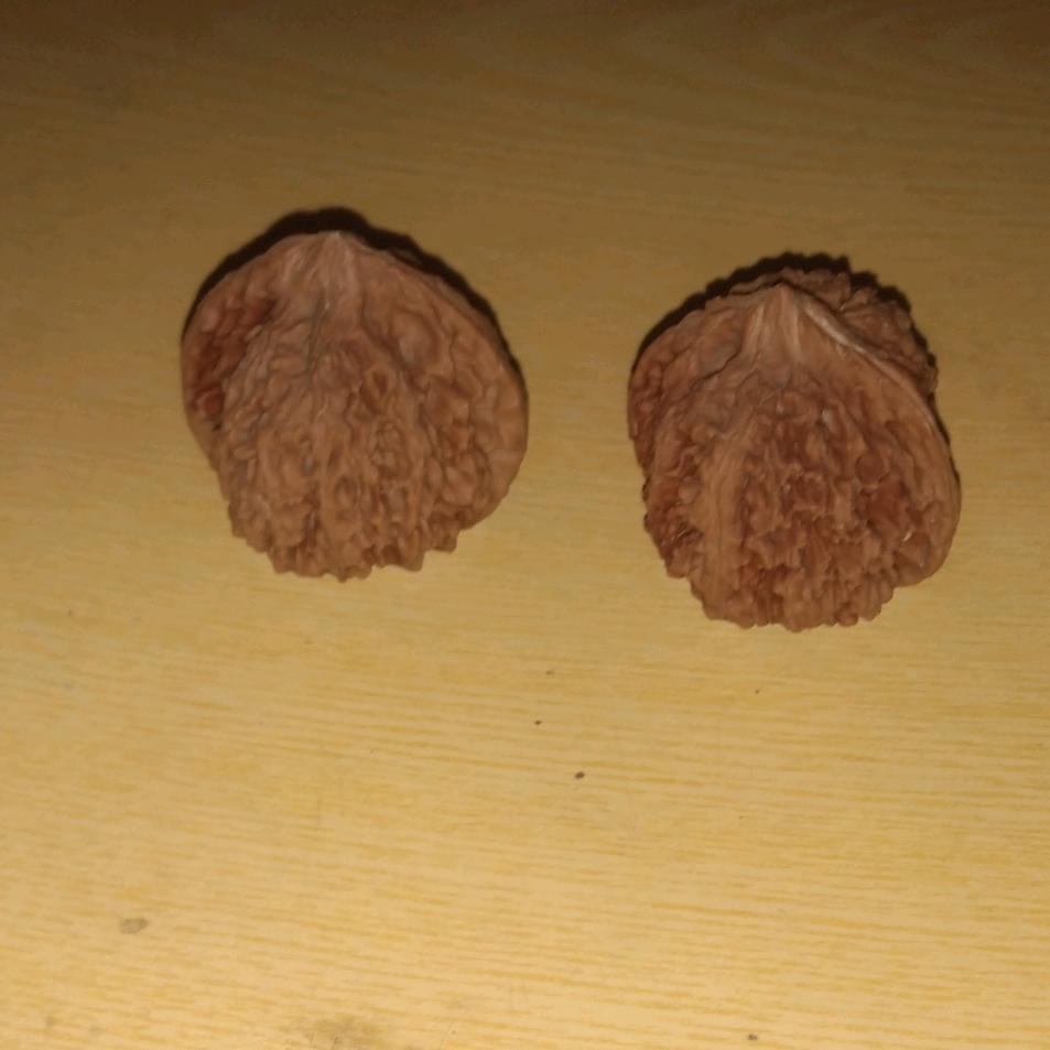 幽灵死皇