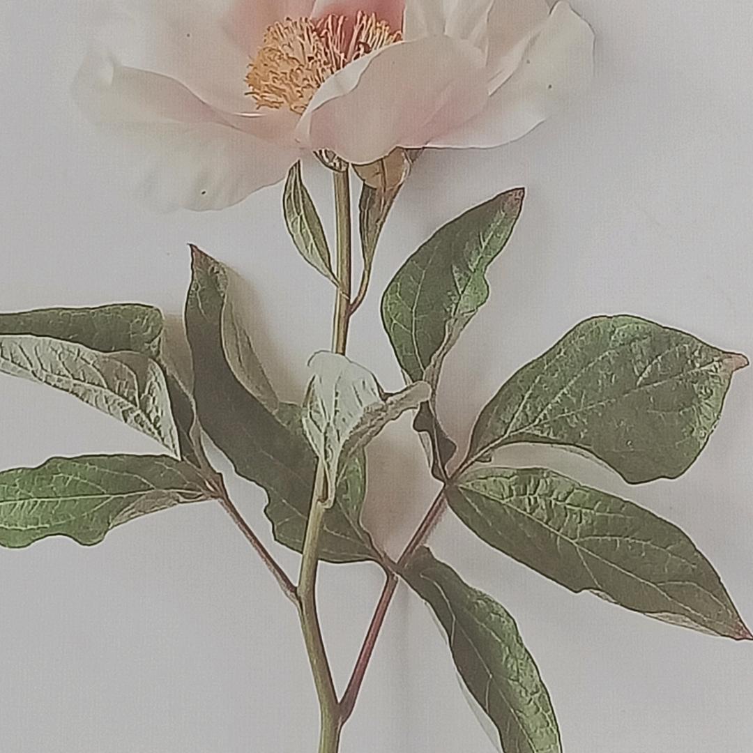 更创辉煌
