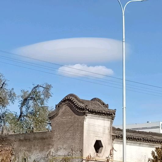 温柔的狼