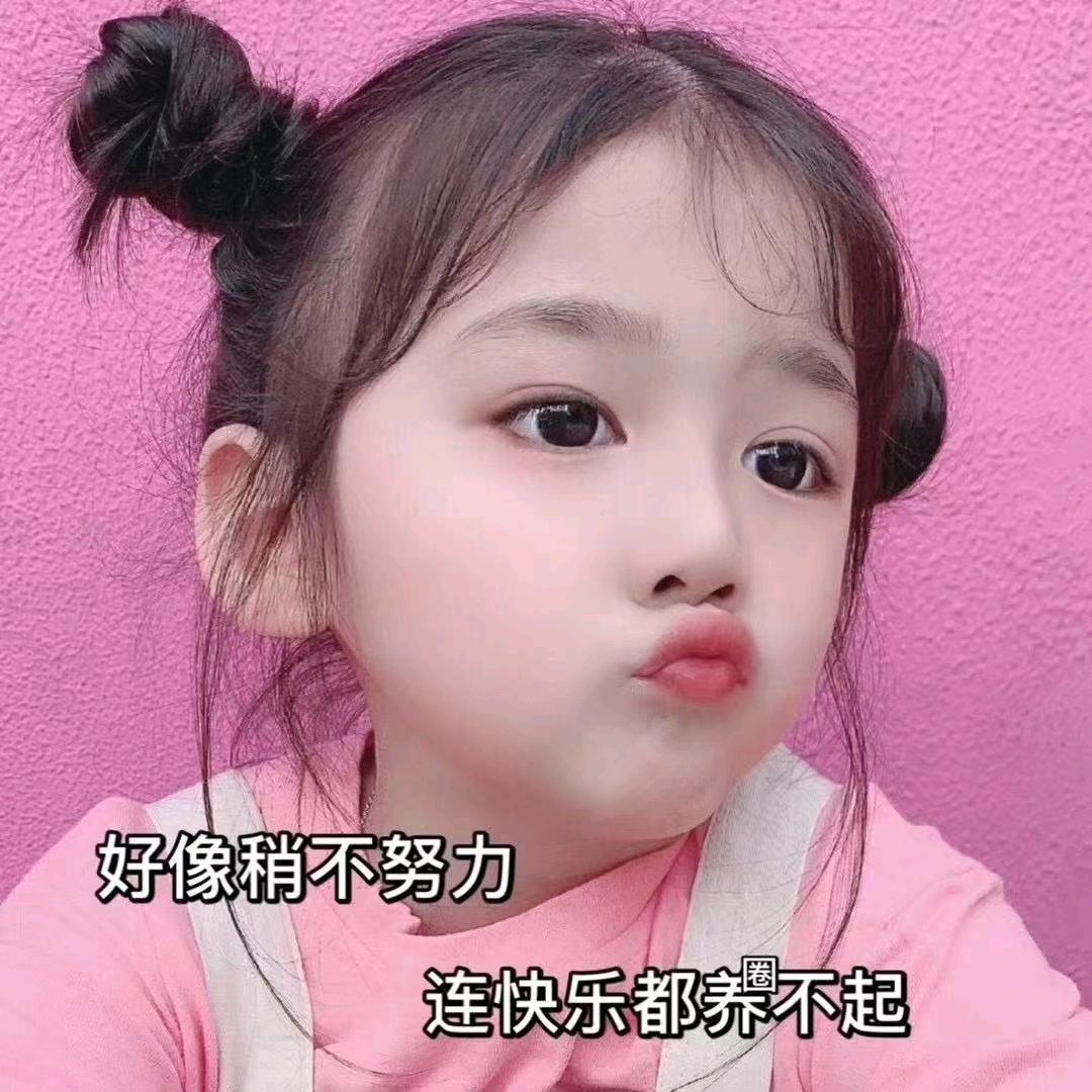 不次香菜的小向