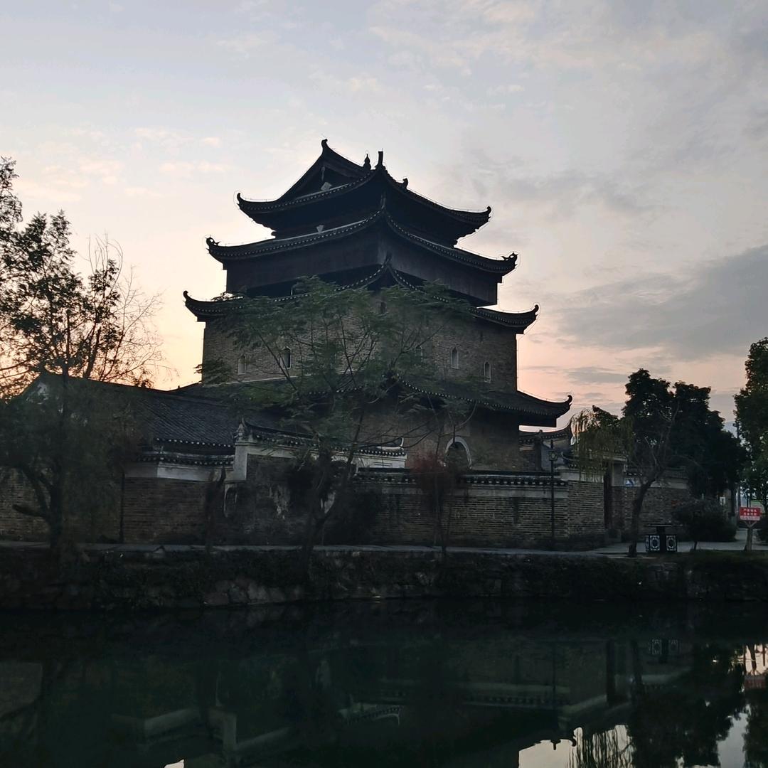 懂点车头像
