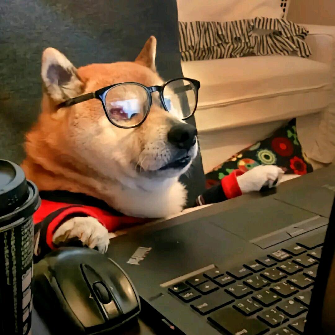 小小阿伟.（四级裸考让我过）