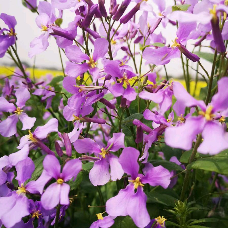 最美的风景就是我和你