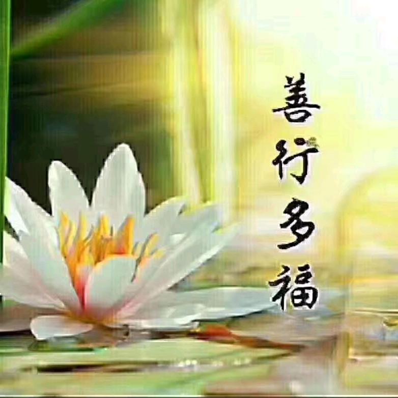 好客珠山名饮       王永强