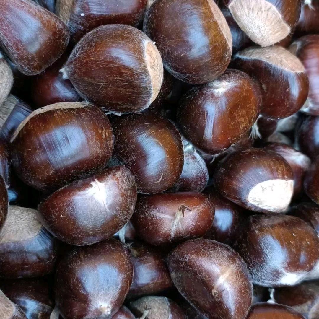 迁西板栗特产2号店