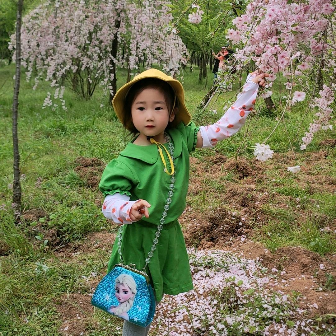 美姐