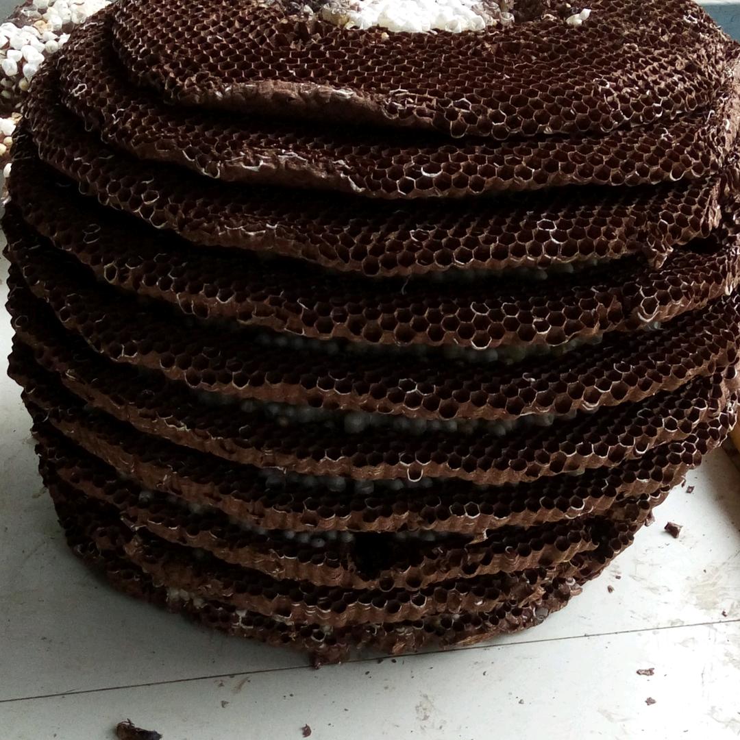 专业承接电力安装电力施工