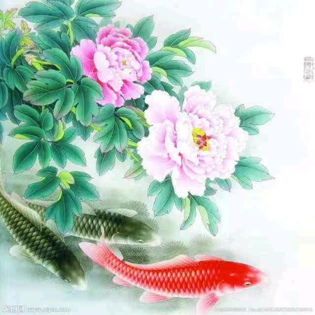 胡适之的分之