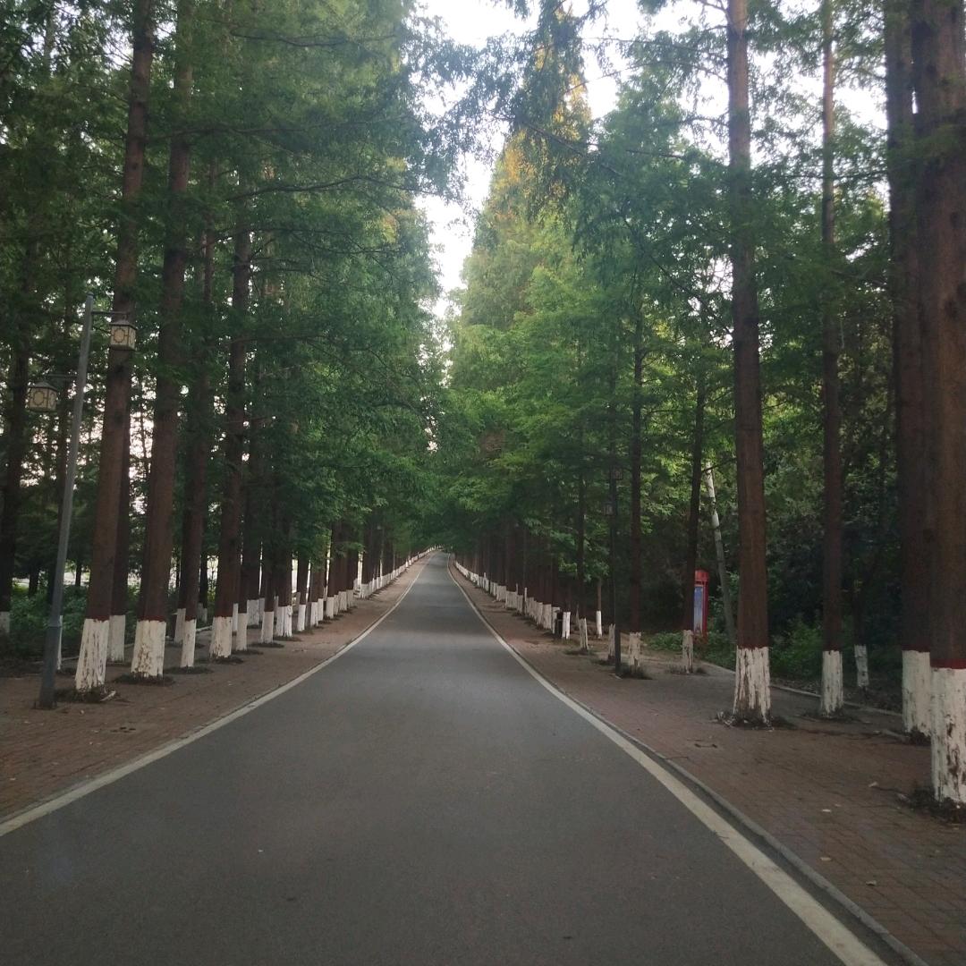 清晨阳光