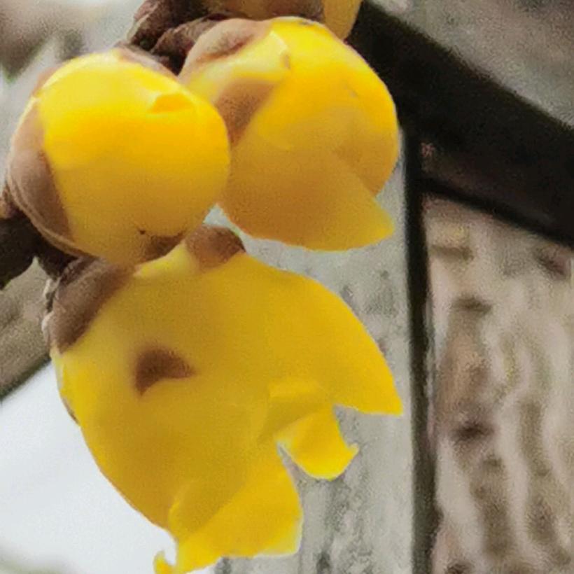 碧水蓝天