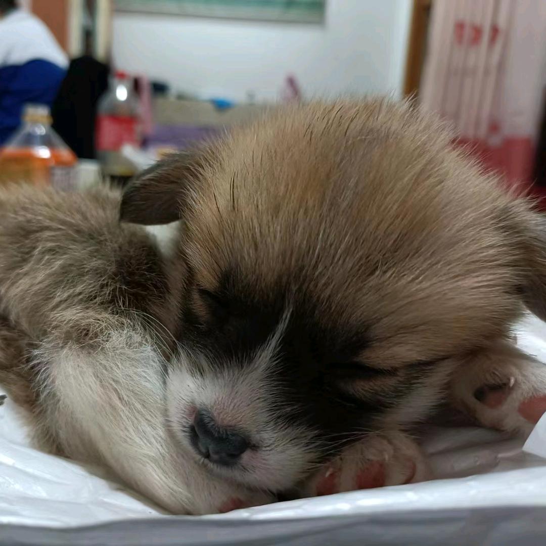 幸福安康six🧩💦