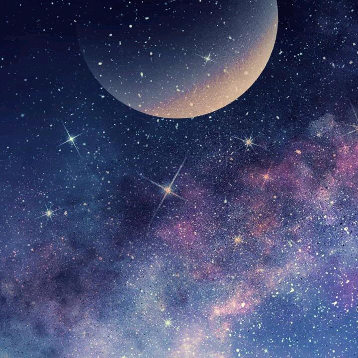 兴芝姐爱生活