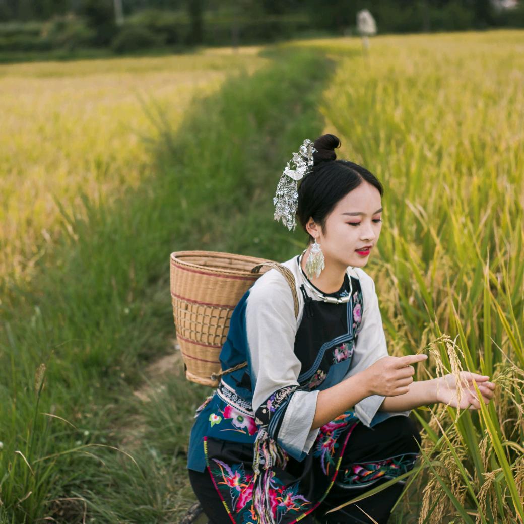 湘西阿妹金金