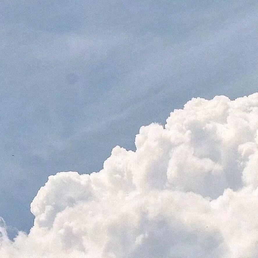 骑着王子的白马