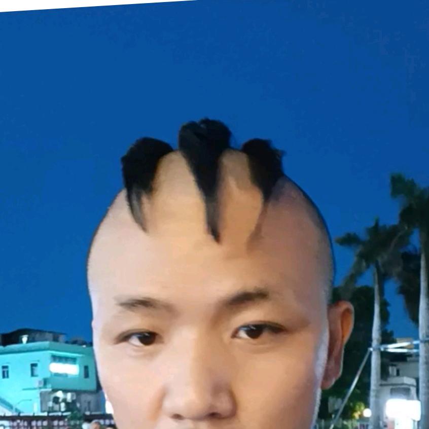 流浪三毛