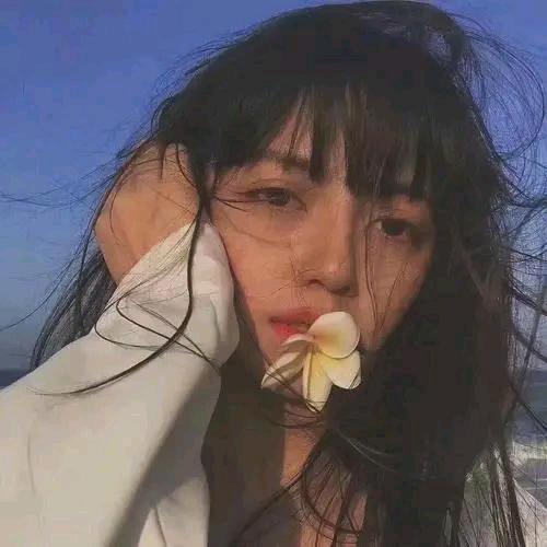 琼瑶